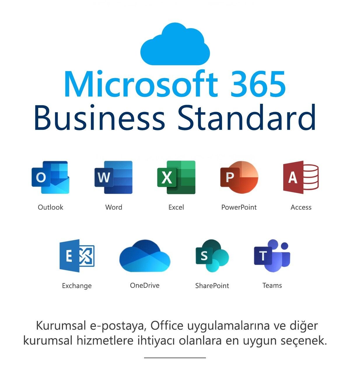 Microsoft 365 İş Standart ESD Lisans TR/ENG Win/Mac KLQ-00212 1 YIL