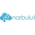 NARBULUT Backup Now Essential Edition 20GB Lisans 1yıl 1kullanıcı basic support is included.
