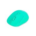 Everest SM-300 Usb Yeşil 4D Optik Süper Sessiz Alkalin Pil Kablosuz Mouse