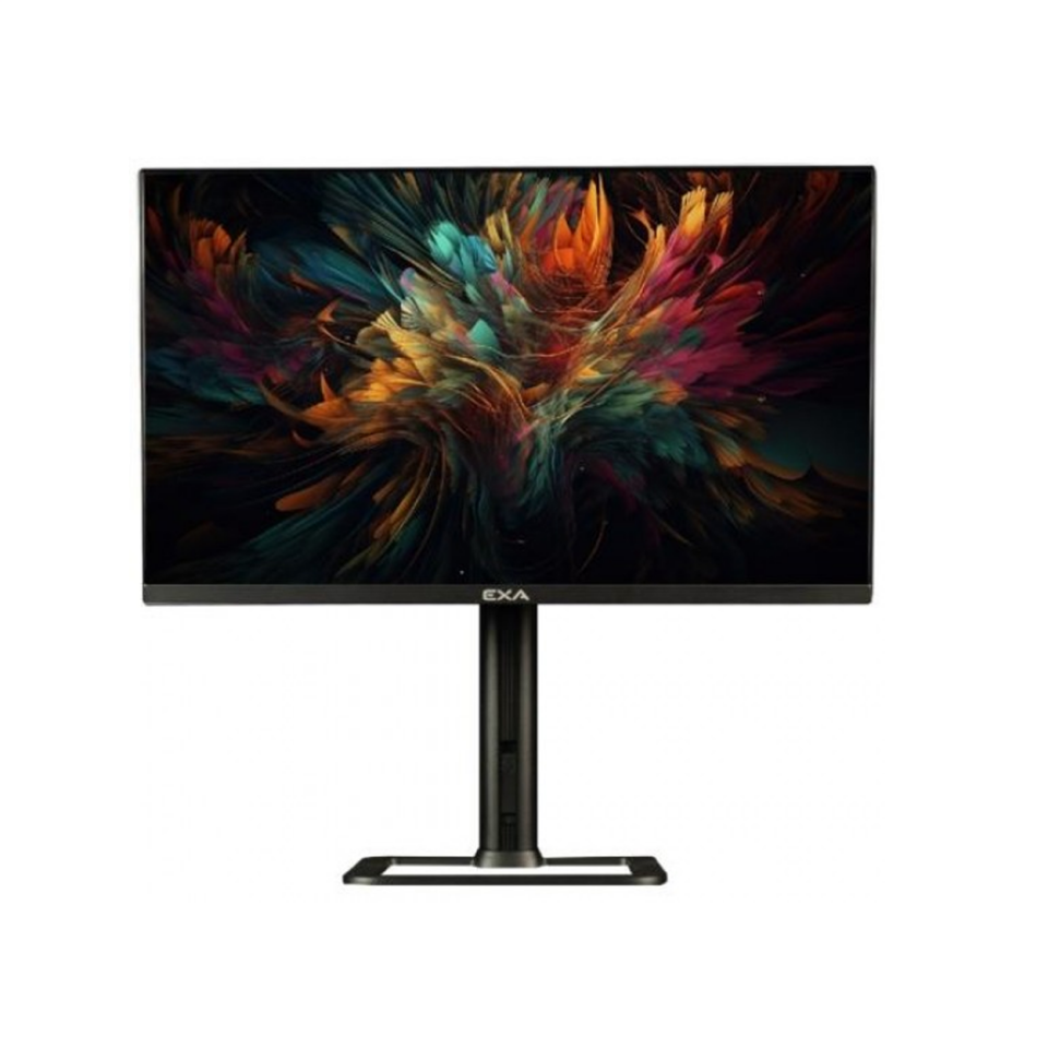EXA AIO X24S PRO-V2 23.8'' FHD DOS Siyah / PIVOT