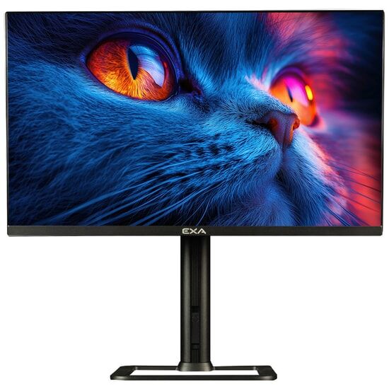 EXA AIO X24SU PRO Ultra 5-225H 23.8'' FHD W11H Siyah / PIVOT