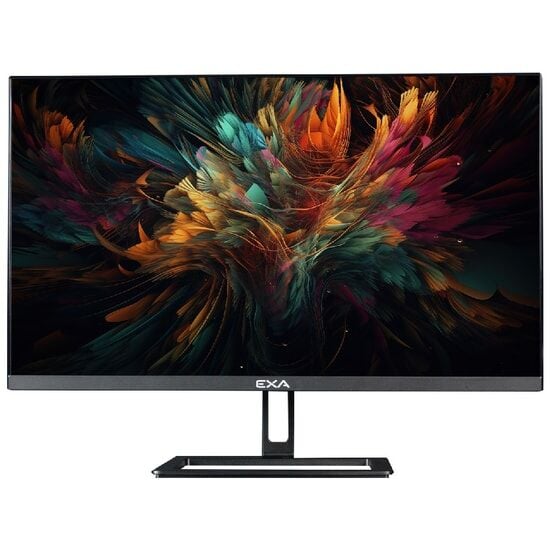 EXA AIO X24S C52 i5-12400 16GB 512GB m.2  23.8'' DOS Siyah - VESA