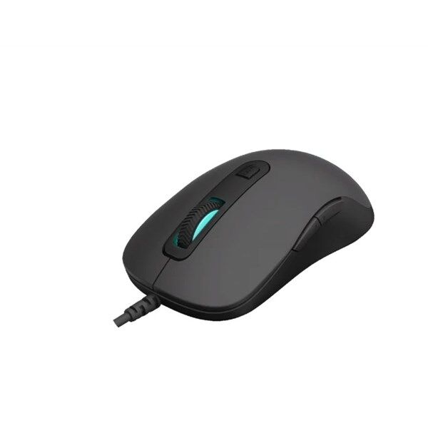 RAPOO V16RGB Kablolu USB RGB 12800dpi Siyah Mouse (11928)