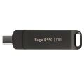 PATRIOT 256GB RAGE R550 PE256GR550DSAD TYPE-C USB BELLEK