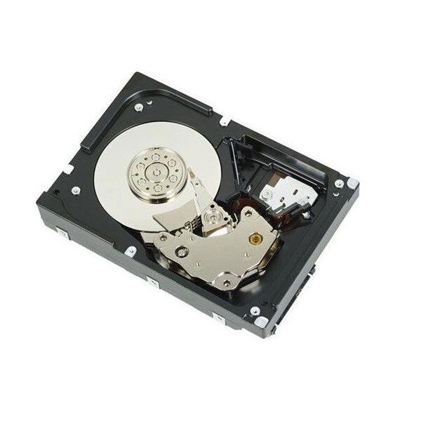 DELL 1TB 3.5'' 11035C72ST-1T 7200RPM Enterprise Sata-3 Nas ve Güvenlik Diski