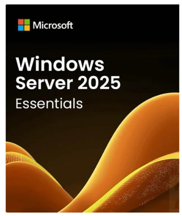 DELL WINDOWS SERVER 2025 ESSENTIAL W2K25ESN-ROK 634-CVDT (25 CAL)