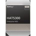 SYNOLOGY 4TB 3.5'' HAT5300-4T 256MB 7200RPM SATA-3 NAS DİSKİ