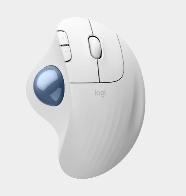 LOGITECH M575S Ergo Kablosuz Siyah Mouse (910-007029)