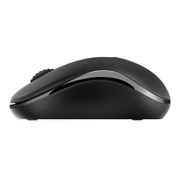 RAPOO M10 PLUS 13354 KABLOSUZ MOUSE