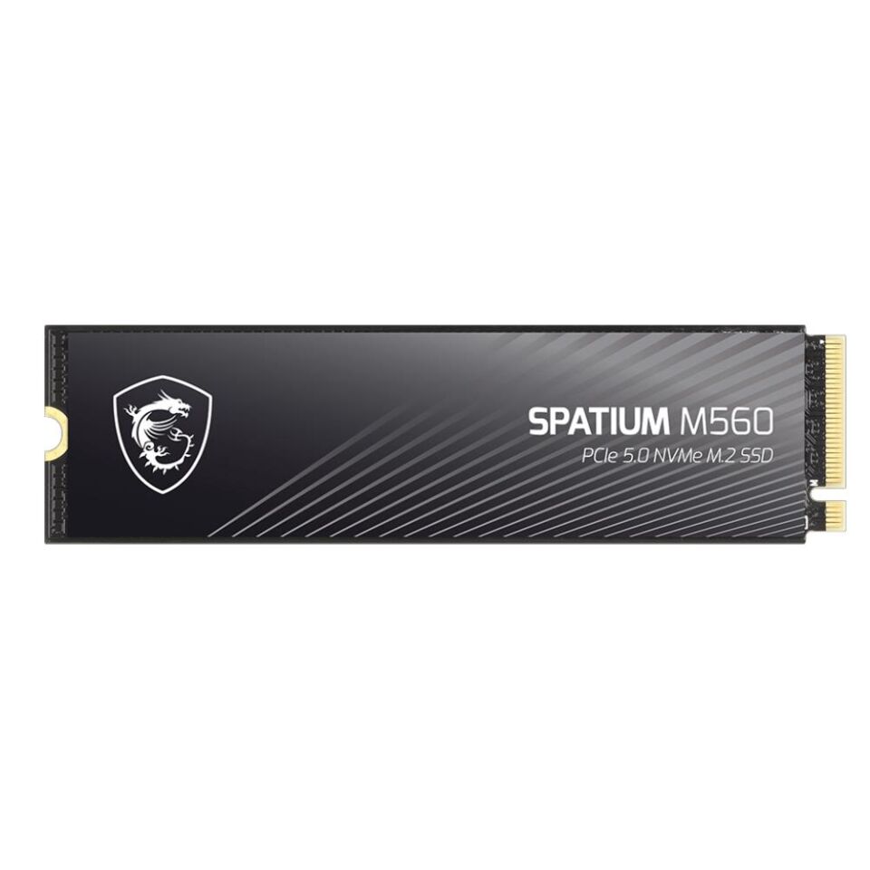 MSI 1TB SPATIUM M560 10200- 8400MB/s M2 NVME GEN5 Disk
