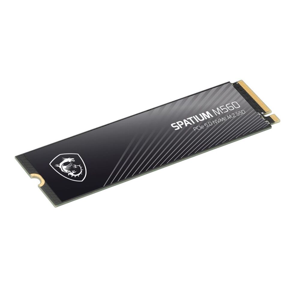 MSI 1TB SPATIUM M560 10200- 8400MB/s M2 NVME GEN5 Disk