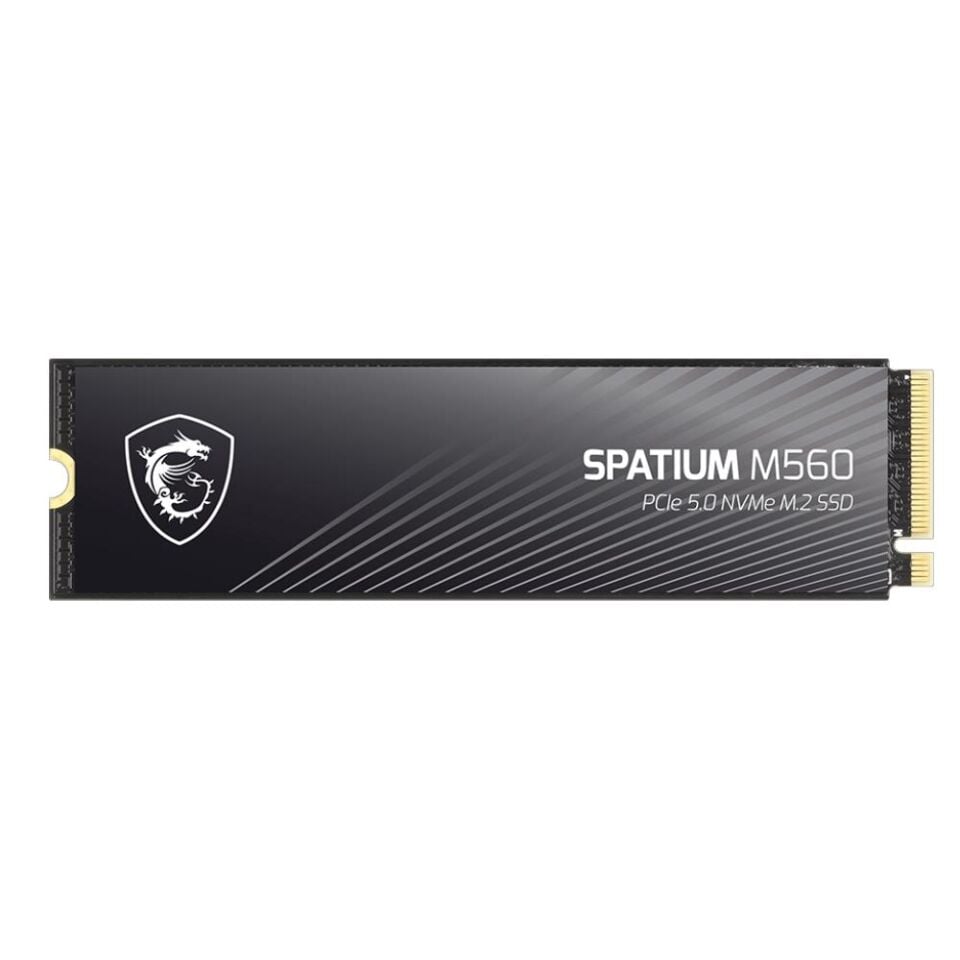 MSI 2TB SPATIUM M560 10300- 8700 MB/s M2 NVME GEN5 DİSK